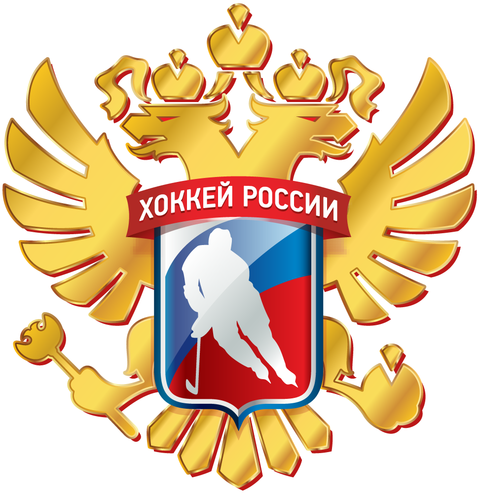Russia 2016-Pres Alternate Logo v3 iron on heat transfer